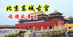 鸡吧捅逼免费视频中国北京-东城古宫旅游风景区